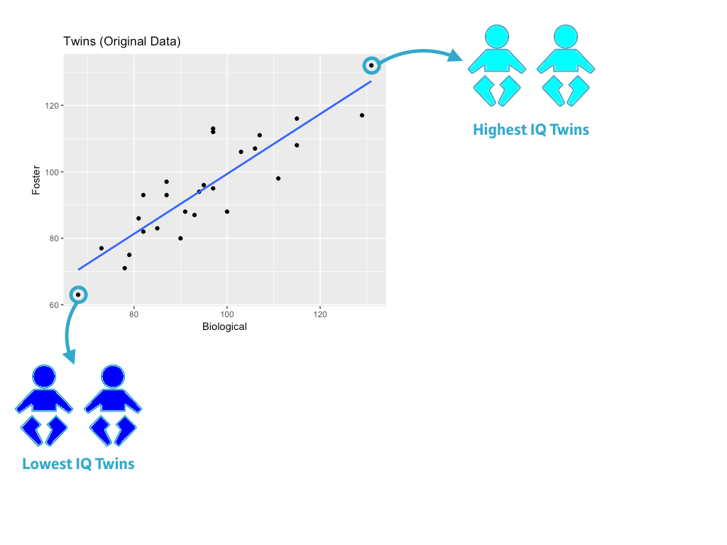 A scatter plot of twins' IQS.