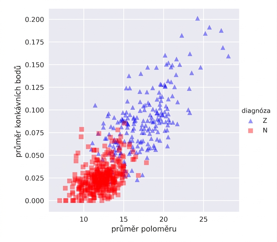 Dataset rakoviny prsu ve 2D