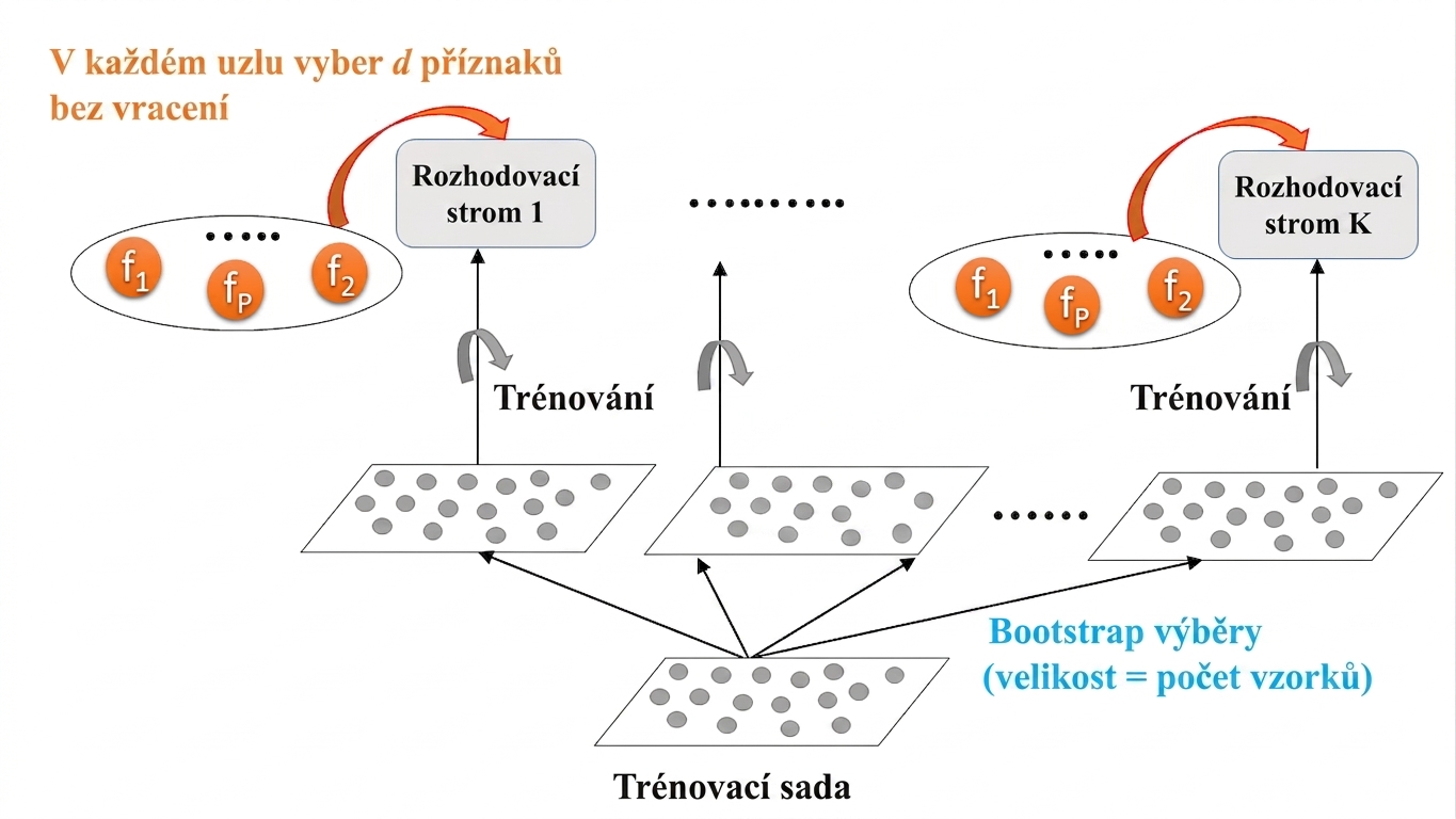 Trénování náhodného lesa