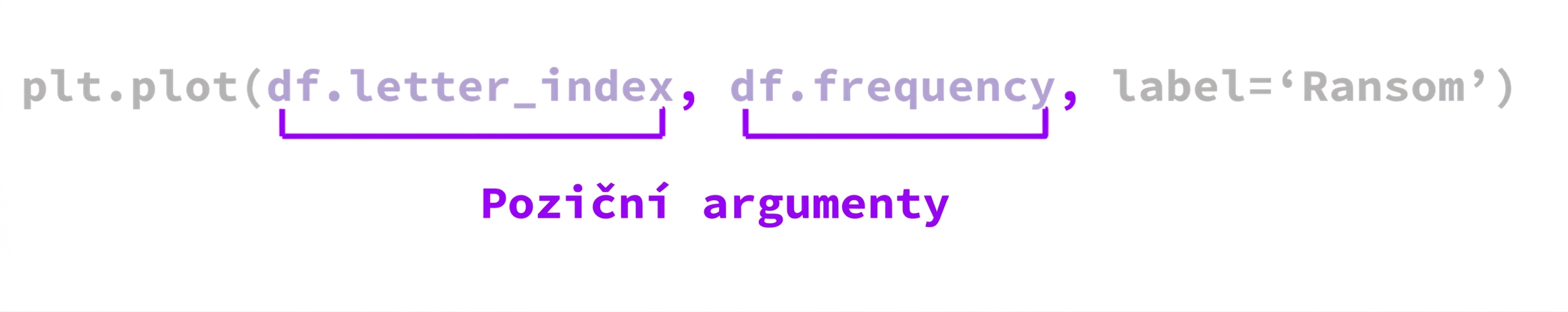 function-anatomy