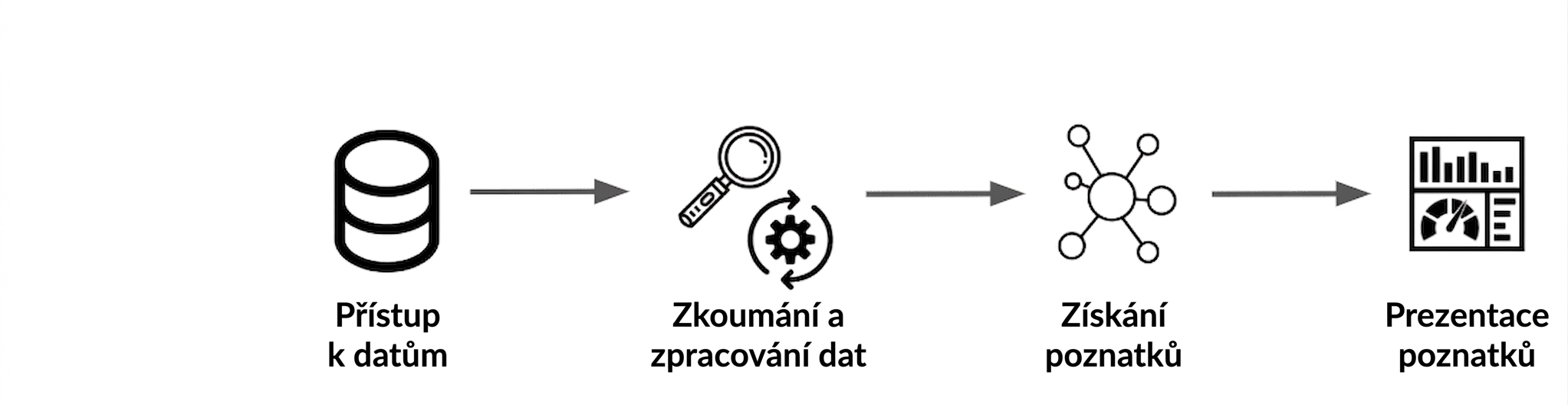 pracovní postup datové vědy