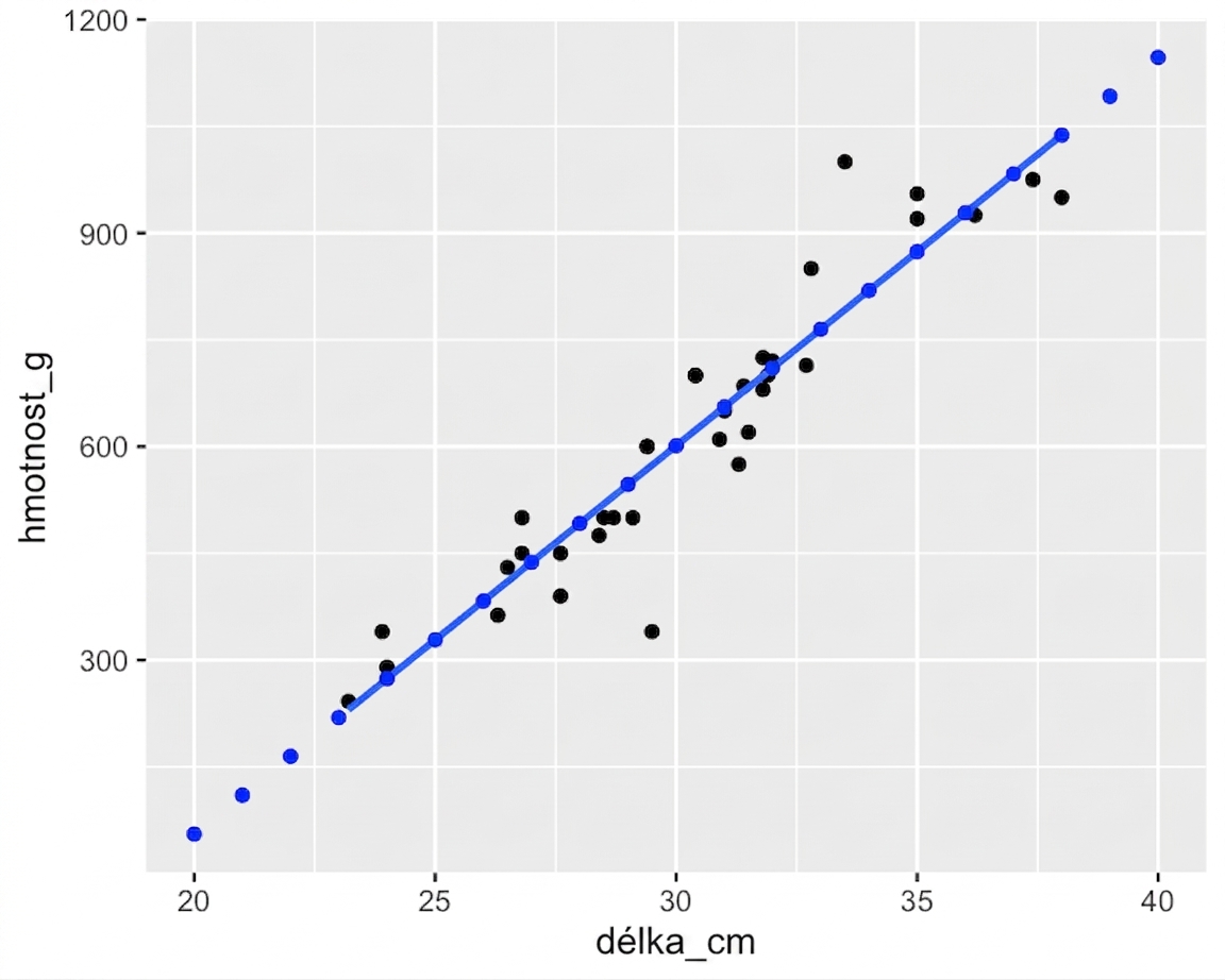 Bodový graf hmotnosti candátů v závislosti na jejich délce s lineární trendovou přímkou. Graf je doplněn o body vypočítané pomocí predict(). Všechny tyto body přesně sledují trendovou přímku.