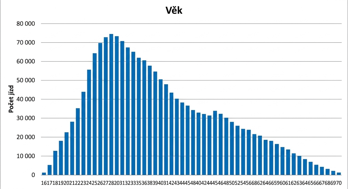 Histogram s velikostí přihrádky 1 rok