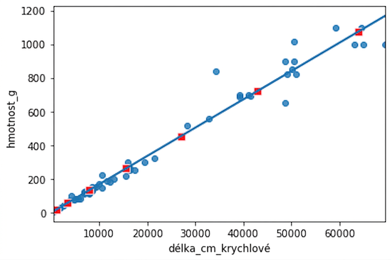 Bodový graf hmotností okounů vůči třetí mocnině jejich délek s trendovou čarou, doplněný o body vypočítané funkcí predict(). Body přesně sledují trendovou čáru.