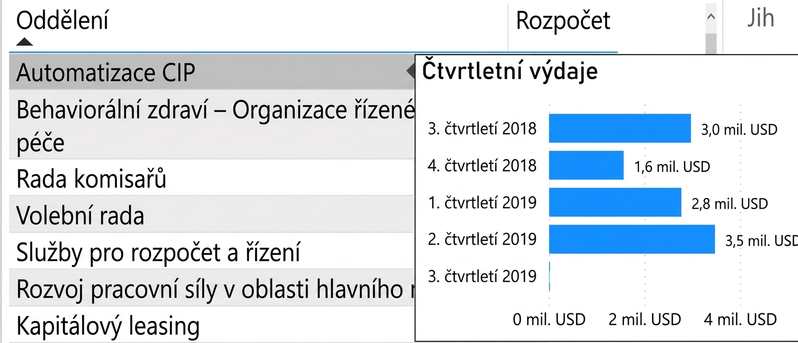 Příklad vlastního popisu