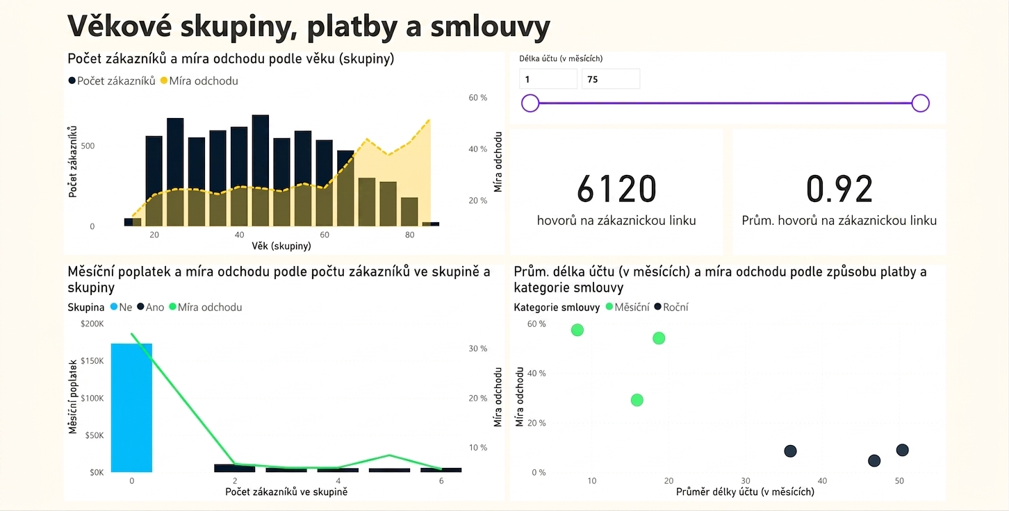 Stránka reportu s věkovými skupinami, platbami a smlouvami
