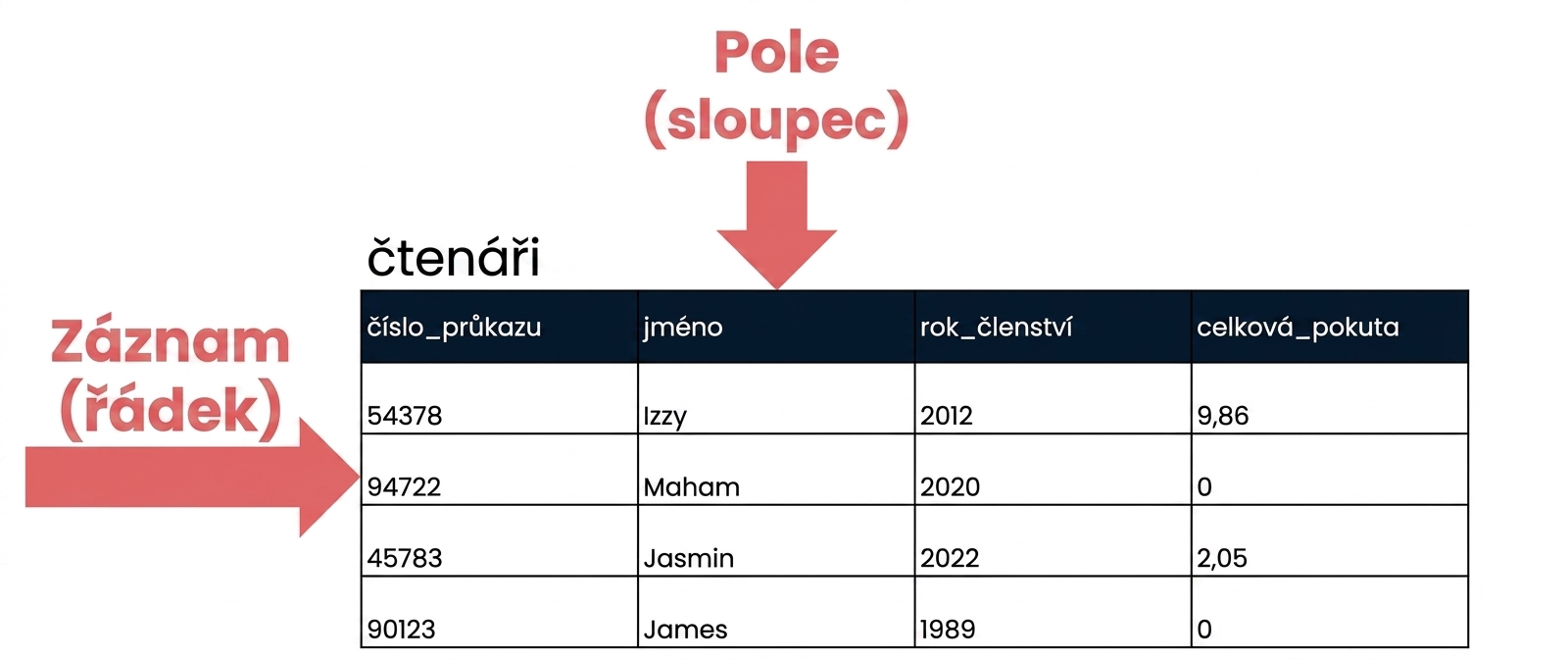 tabulka patrons se zvýrazněnými záznamy a poli