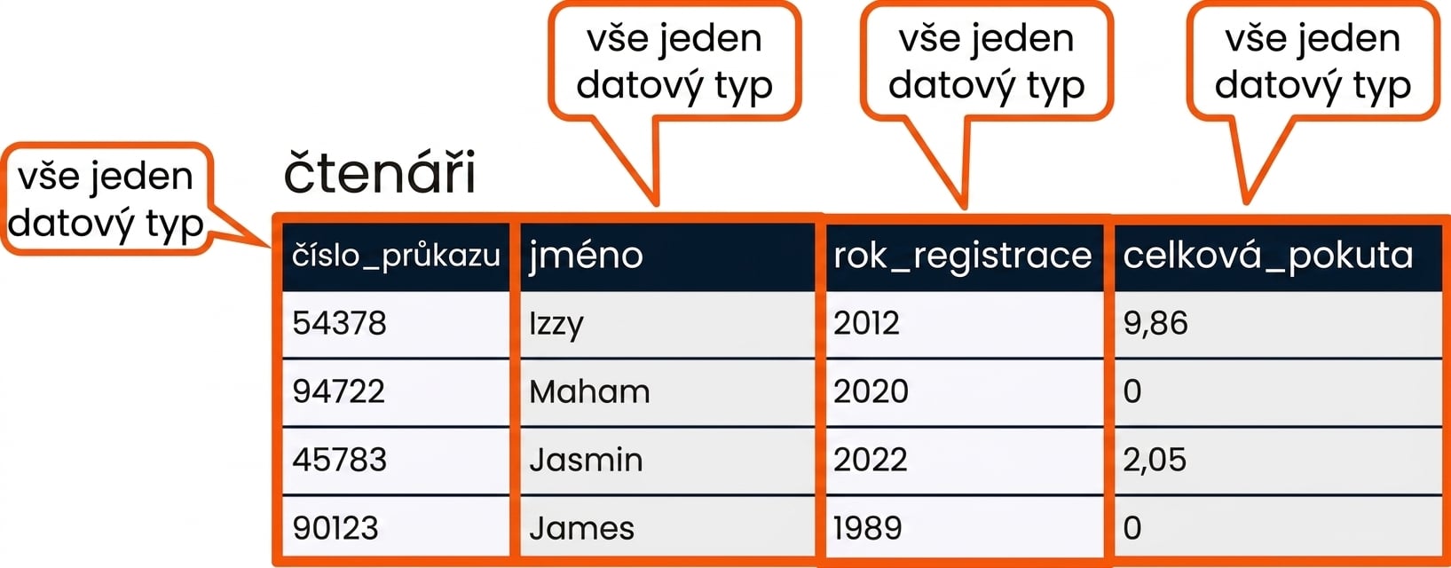 Tabulka patrons se zvýrazněnými poli, každé označeno svým datovým typem