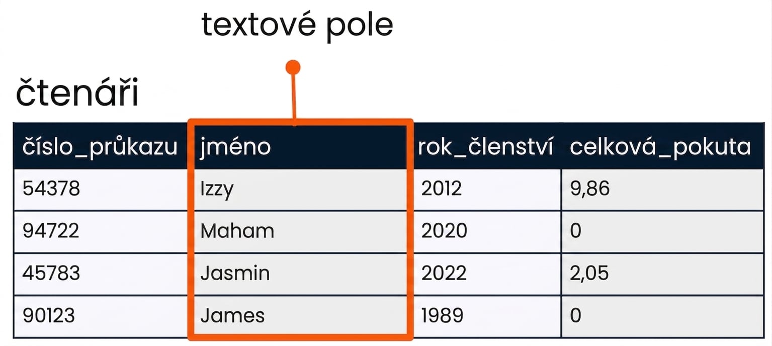 Tabulka patrons se zvýrazněným polem name jako příklad řetězcového pole