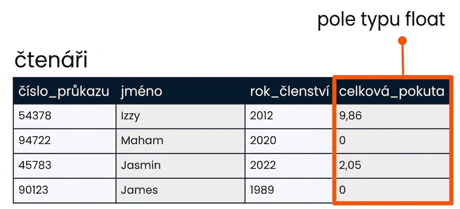 Tabulka patrons se zvýrazněným polem total_fine jako příklad pole s desetinným číslem