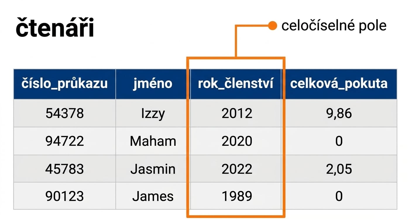 Tabulka patrons se zvýrazněným polem member_year jako příklad celočíselného pole