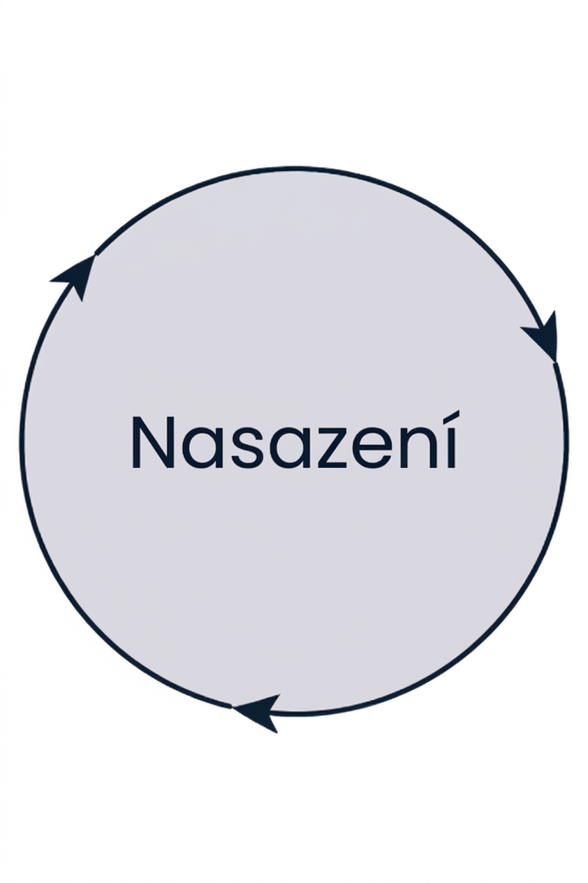 fáze