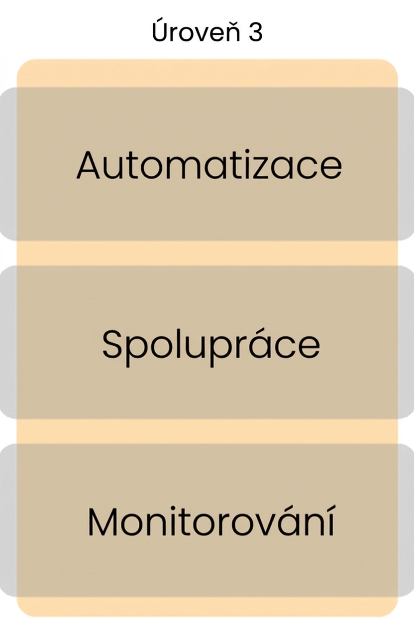 Zralost úrovně 3