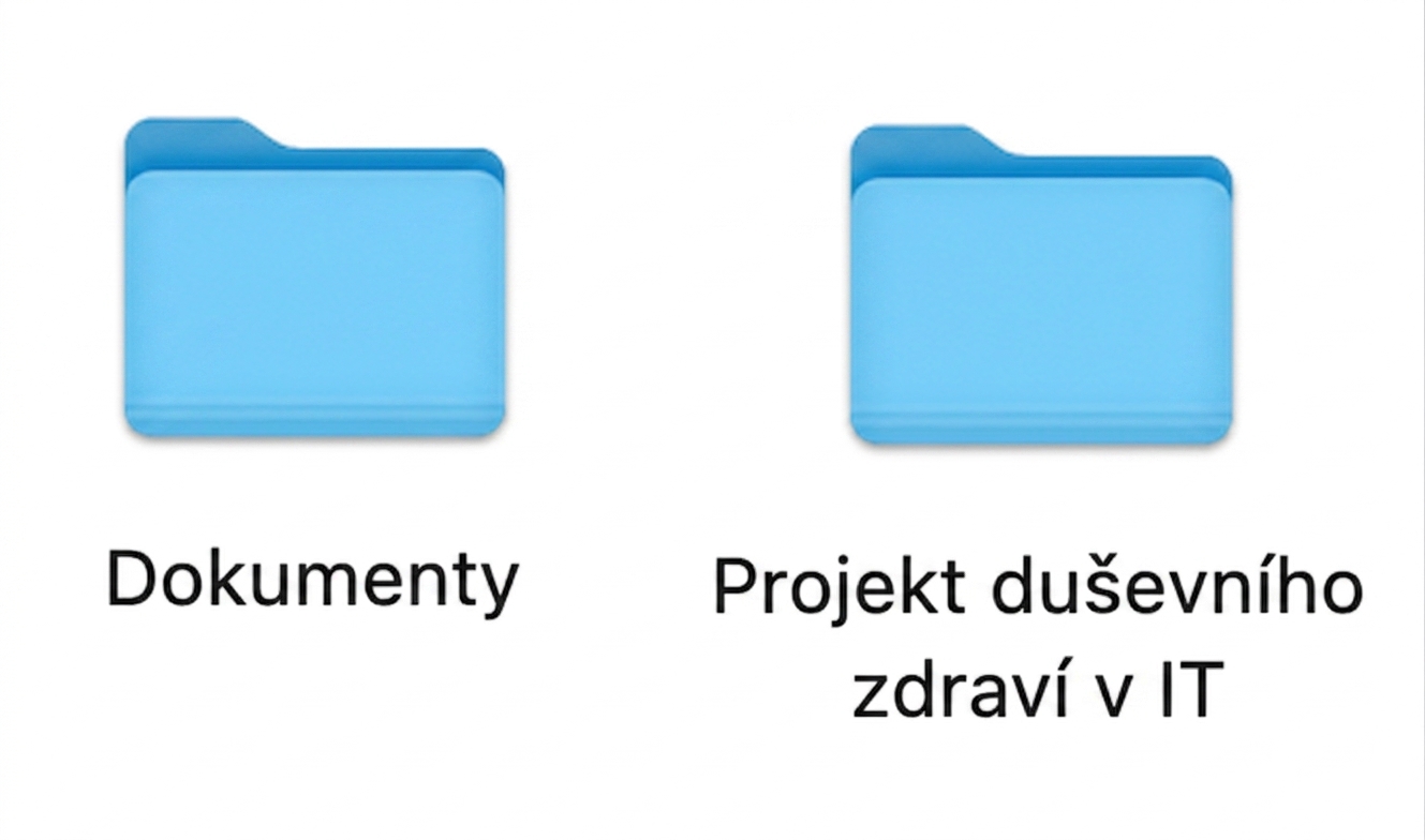 Dvě složky s názvy Documents a Mental Health in Tech Project