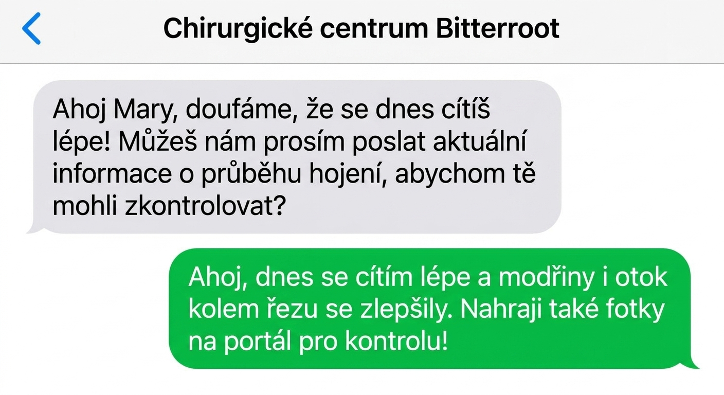 Grafika zobrazuje textovou konverzaci v telefonu, která srozumitelně předává pouze podstatné informace