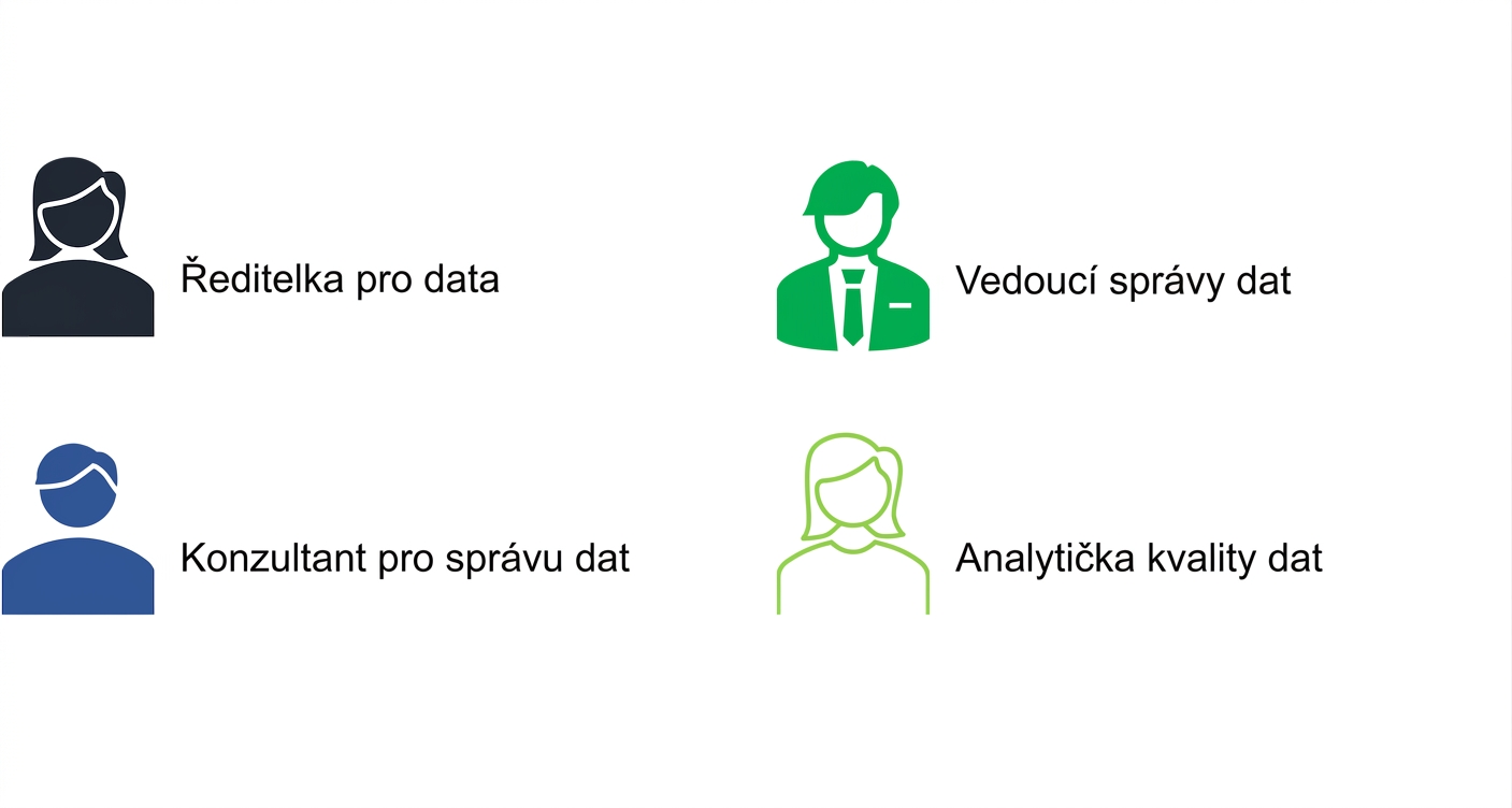 Seznam rolí v kanceláři pro správu dat