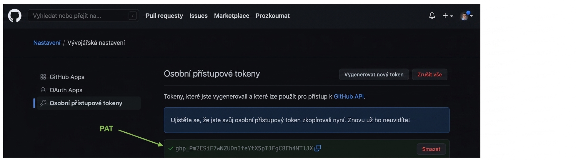 PAT zvýrazněný jako kombinace písmen a číslic, který lze zkopírovat