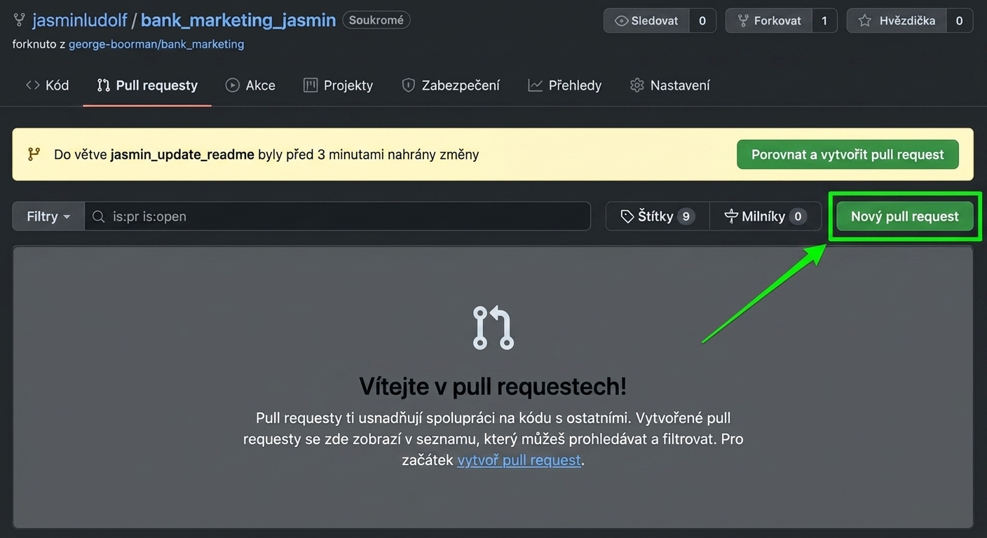 Zobrazení záložky pull requestů se zvýrazněným tlačítkem pro nový pull request