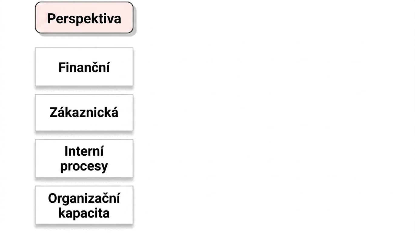 kaplanova perspektiva