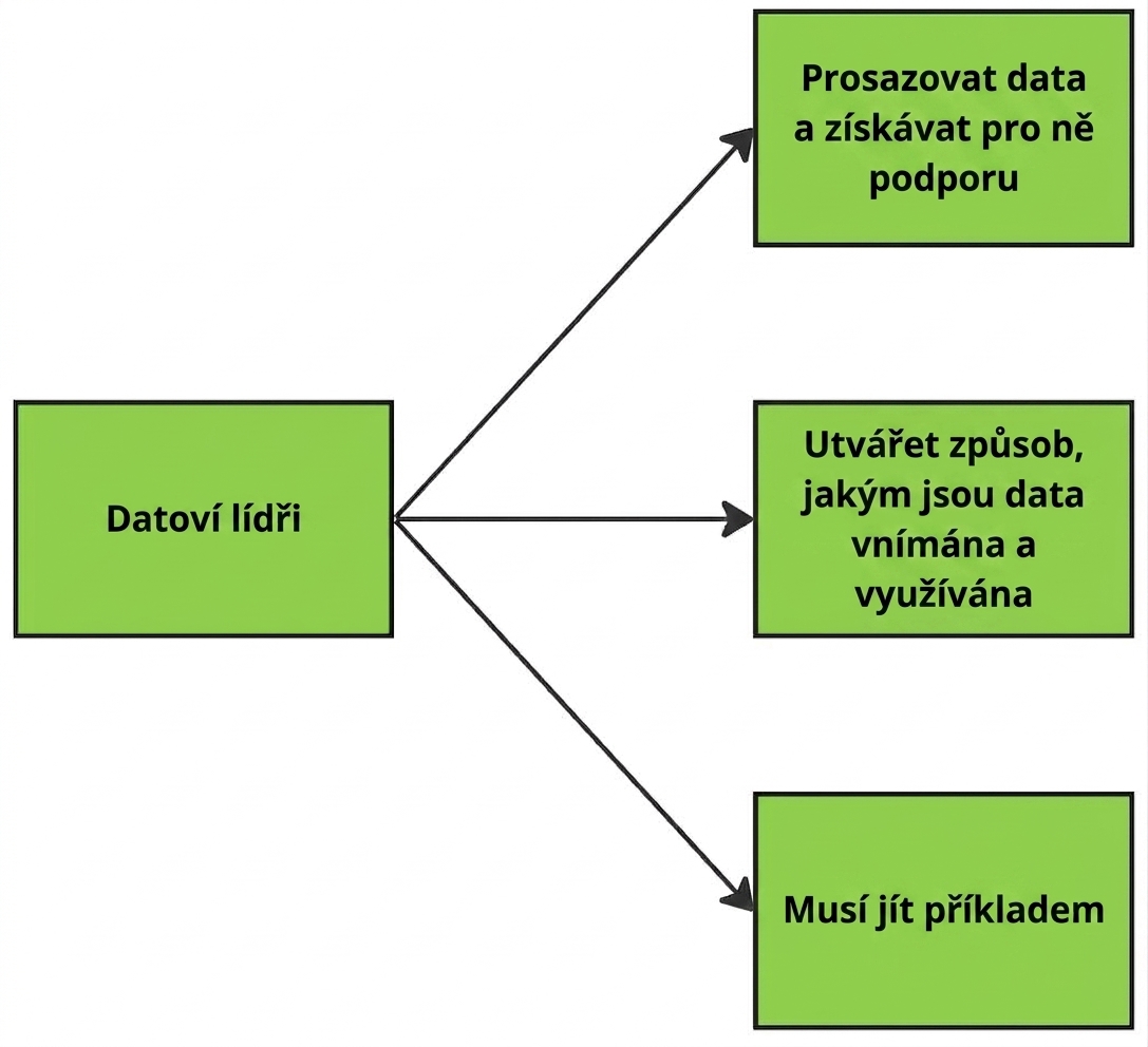 Diagram znázorňující povinnosti datových lídrů.