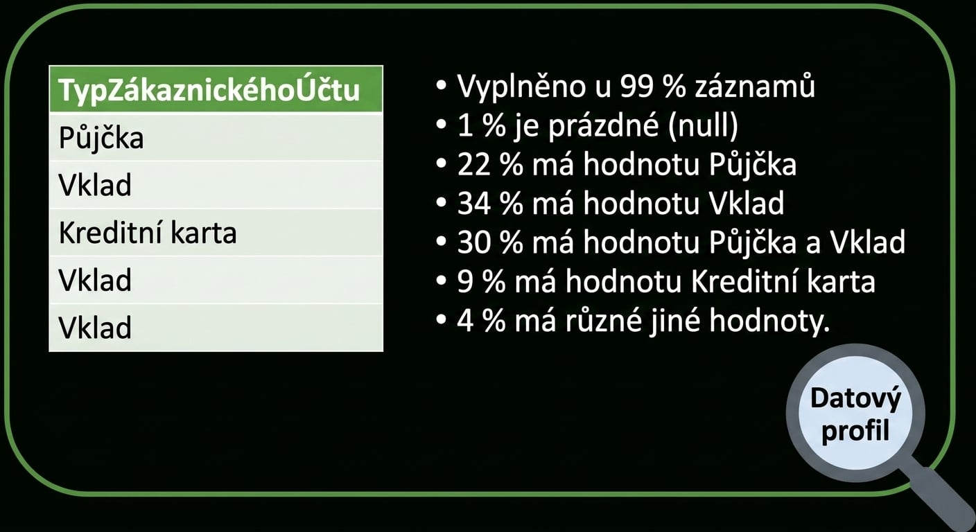 příklady datových profilů