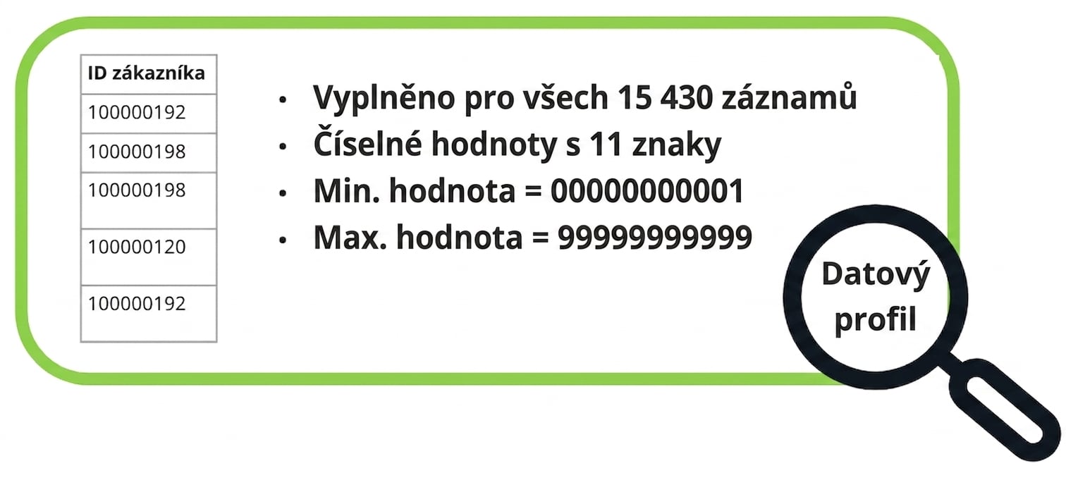 příklady datových profilů