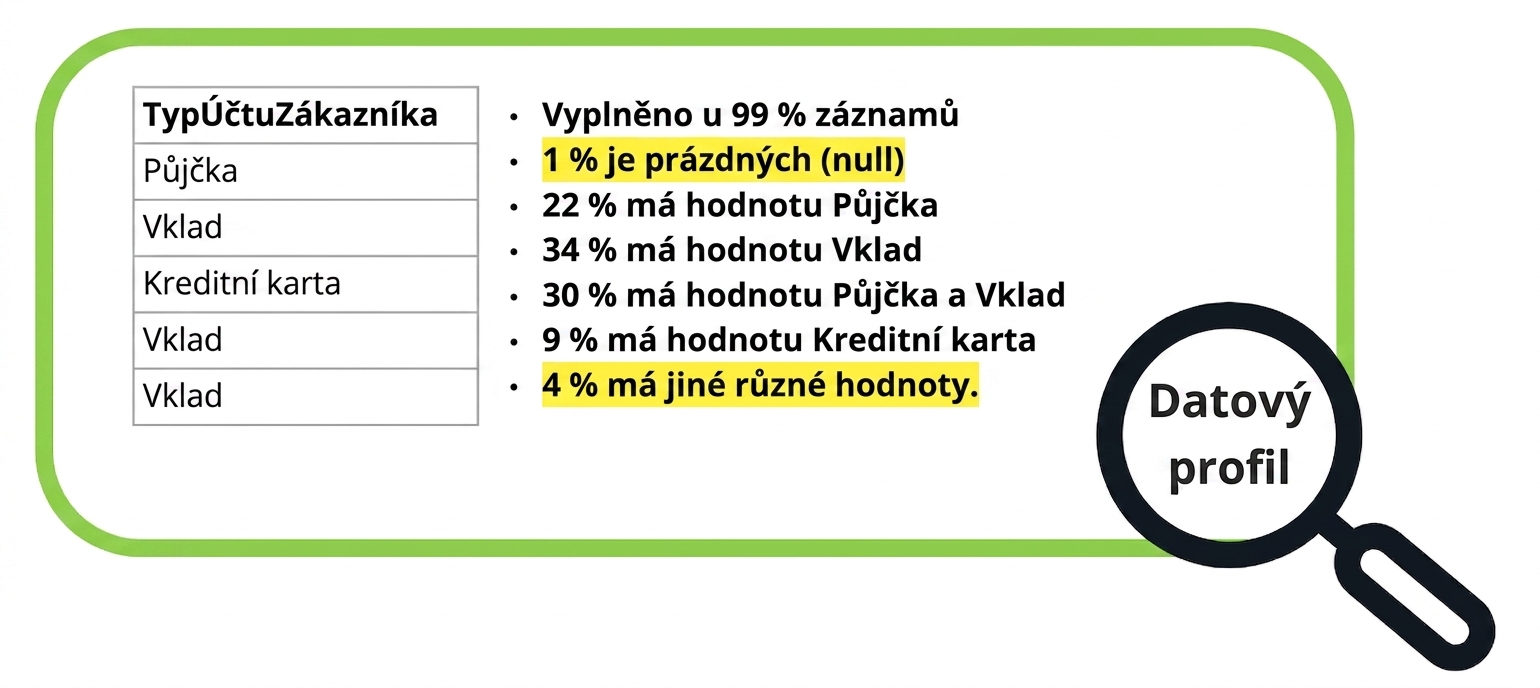 příklad datového profilu
