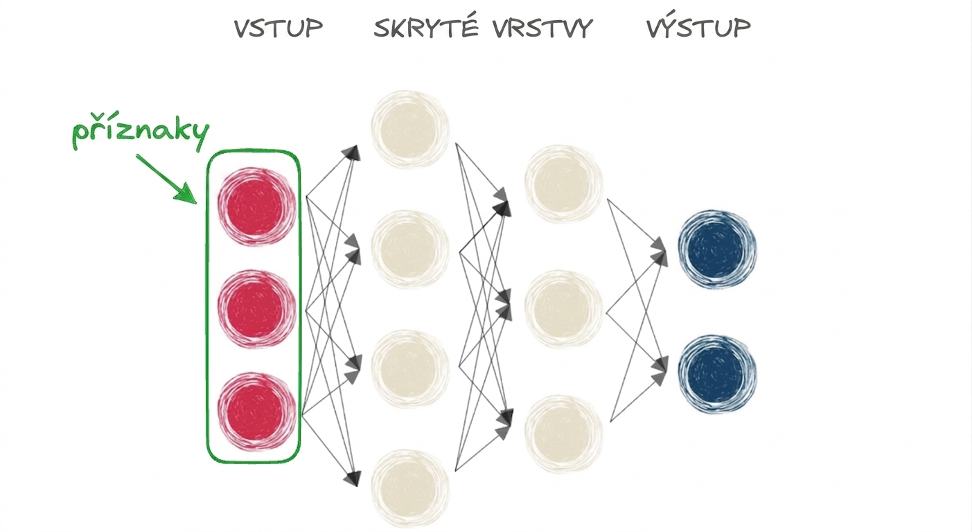 Diagram neuronové sítě se vstupem, skrytou vrstvou a výstupem