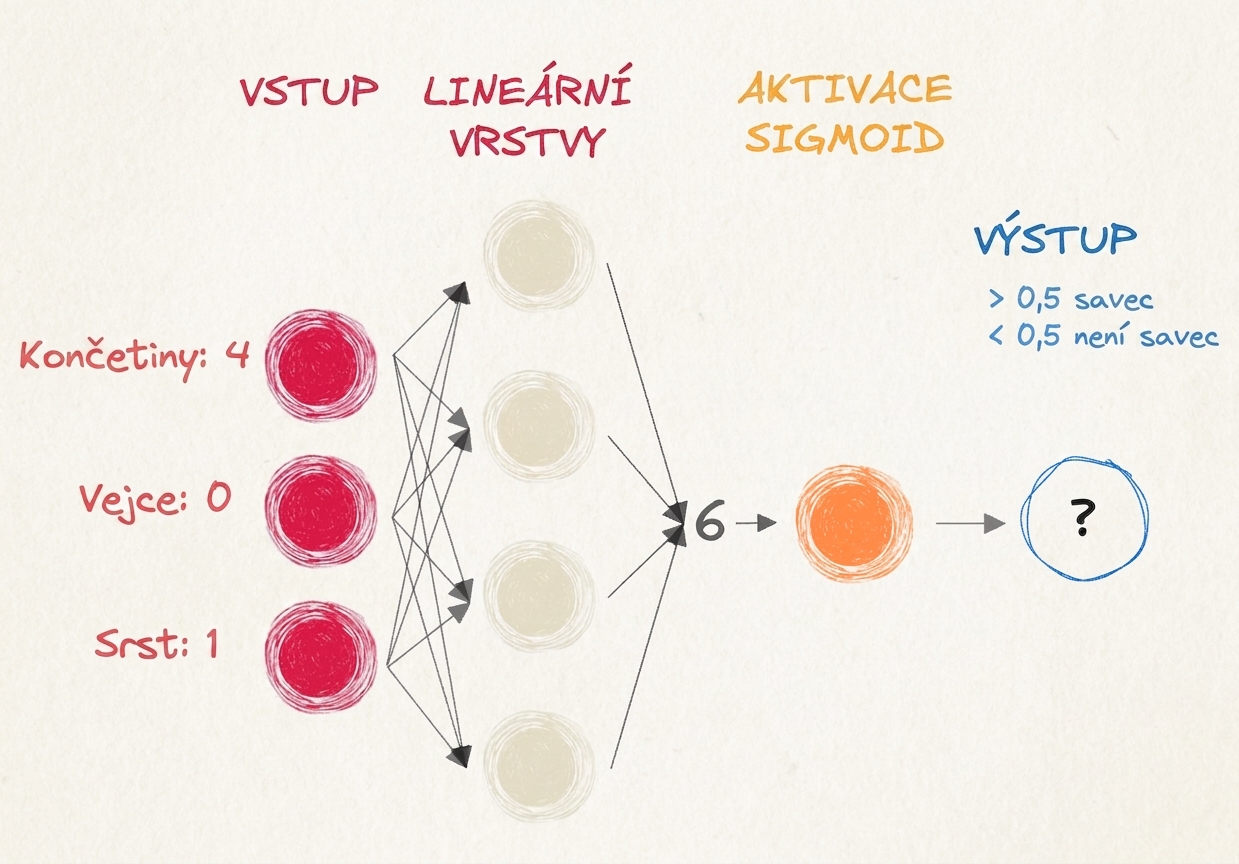 Diagram části neuronové sítě se vstupy, číslem 6 jako výstupem lineárních vrstev, sigmoidální aktivační funkcí a výstupem
