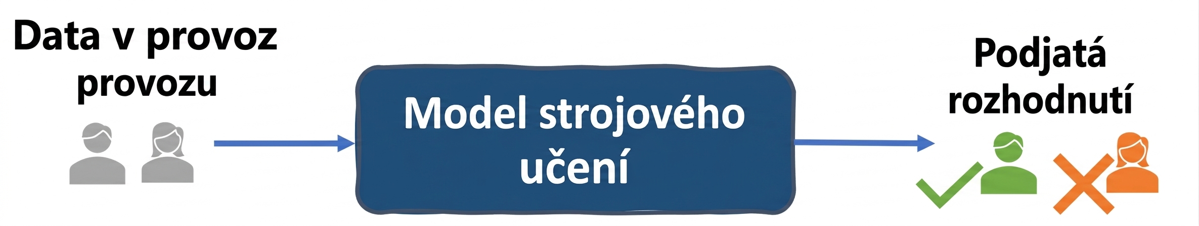 Datová předpojatost v systému pro screening životopisů