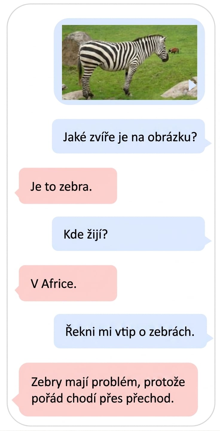 Příklad multimodálního LLM využívajícího text a obrazová data