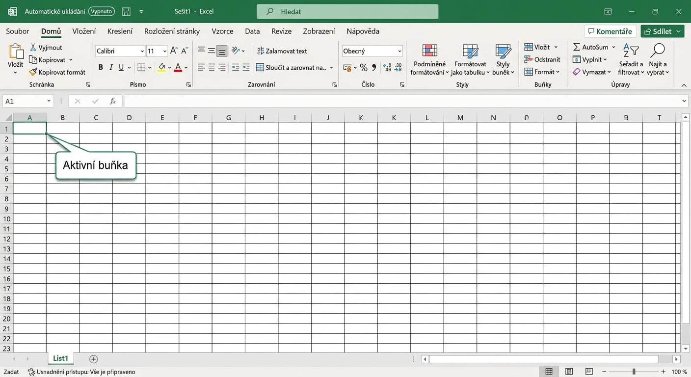 Soubor Excel se zvýrazněnou aktivní buňkou