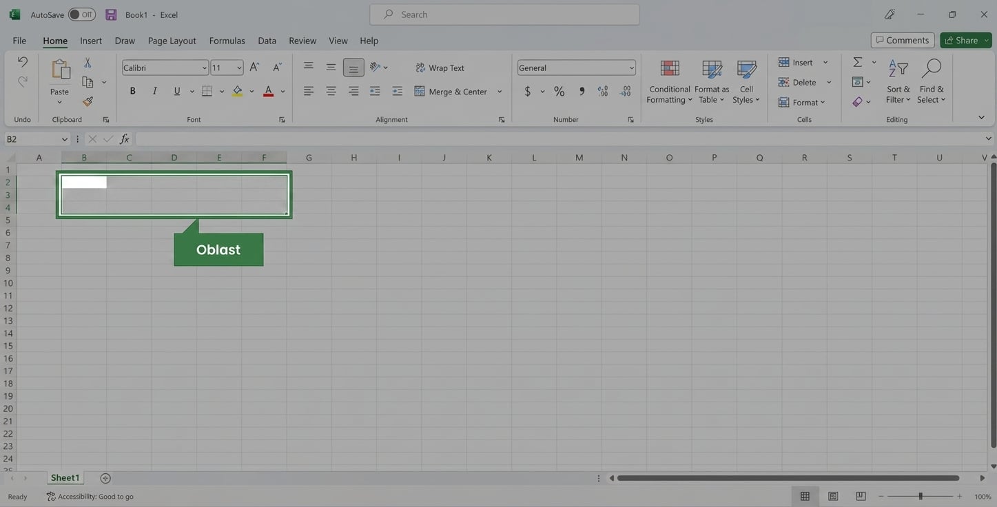 Soubor Excel se zvýrazněným výběrem oblasti