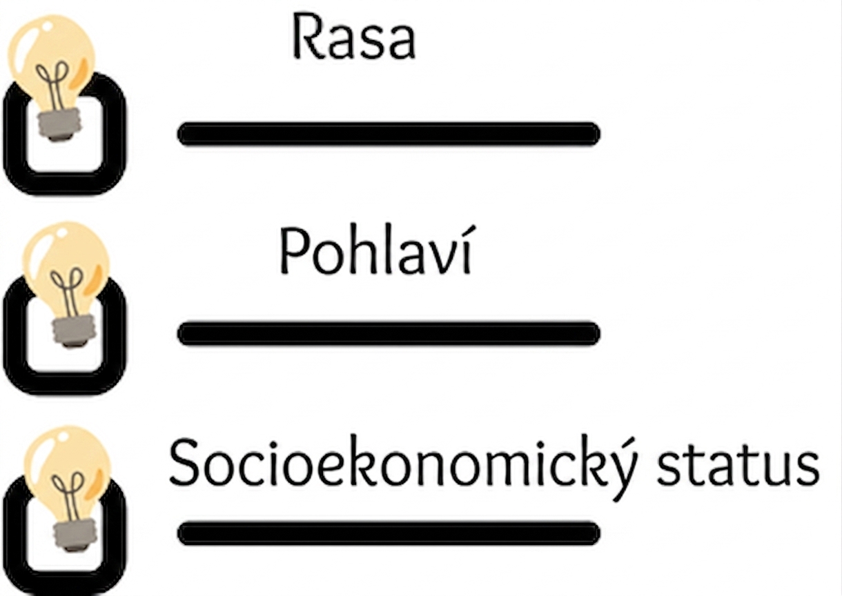 Kontrolní seznam obsahující rasu, pohlaví a socioekonomický status.