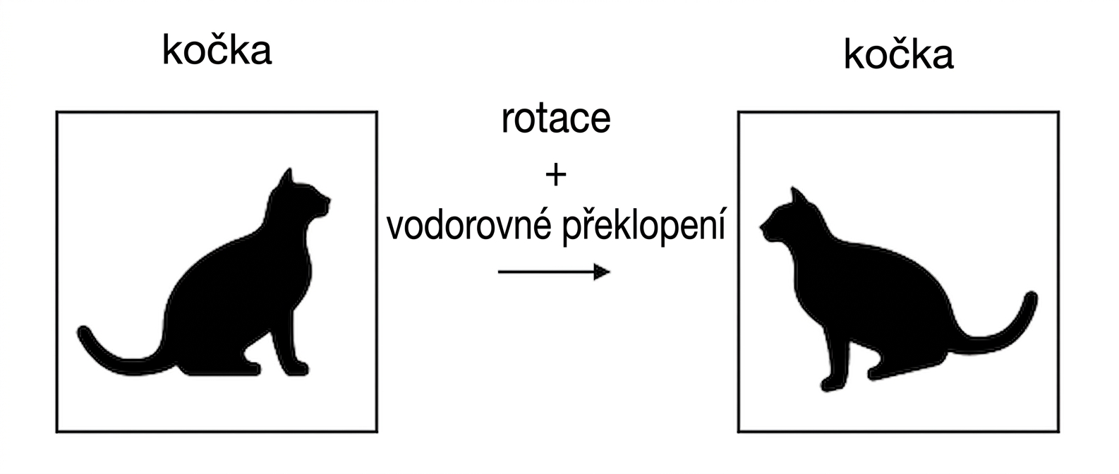 Obrázek kočky překlopený horizontálně a otočený.