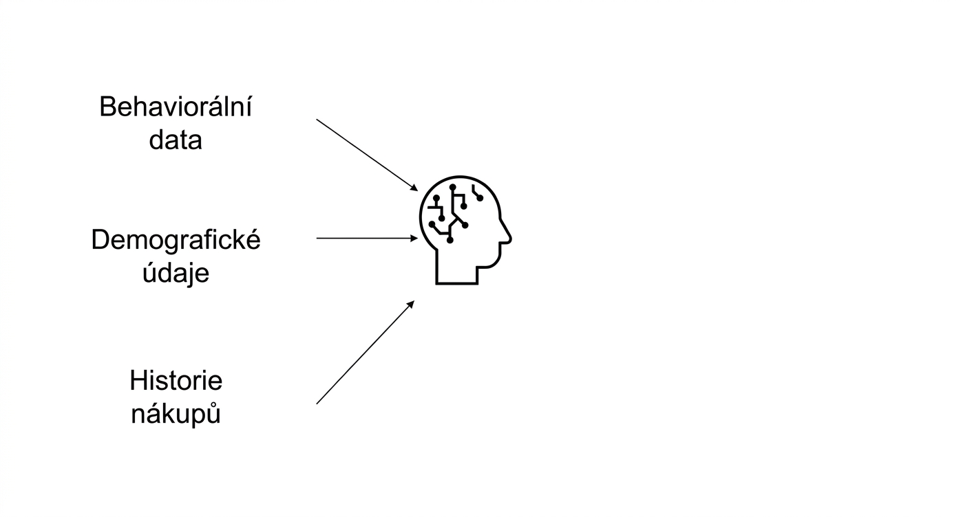 Data o chování, demografické údaje a historie nákupů využívané v AI.