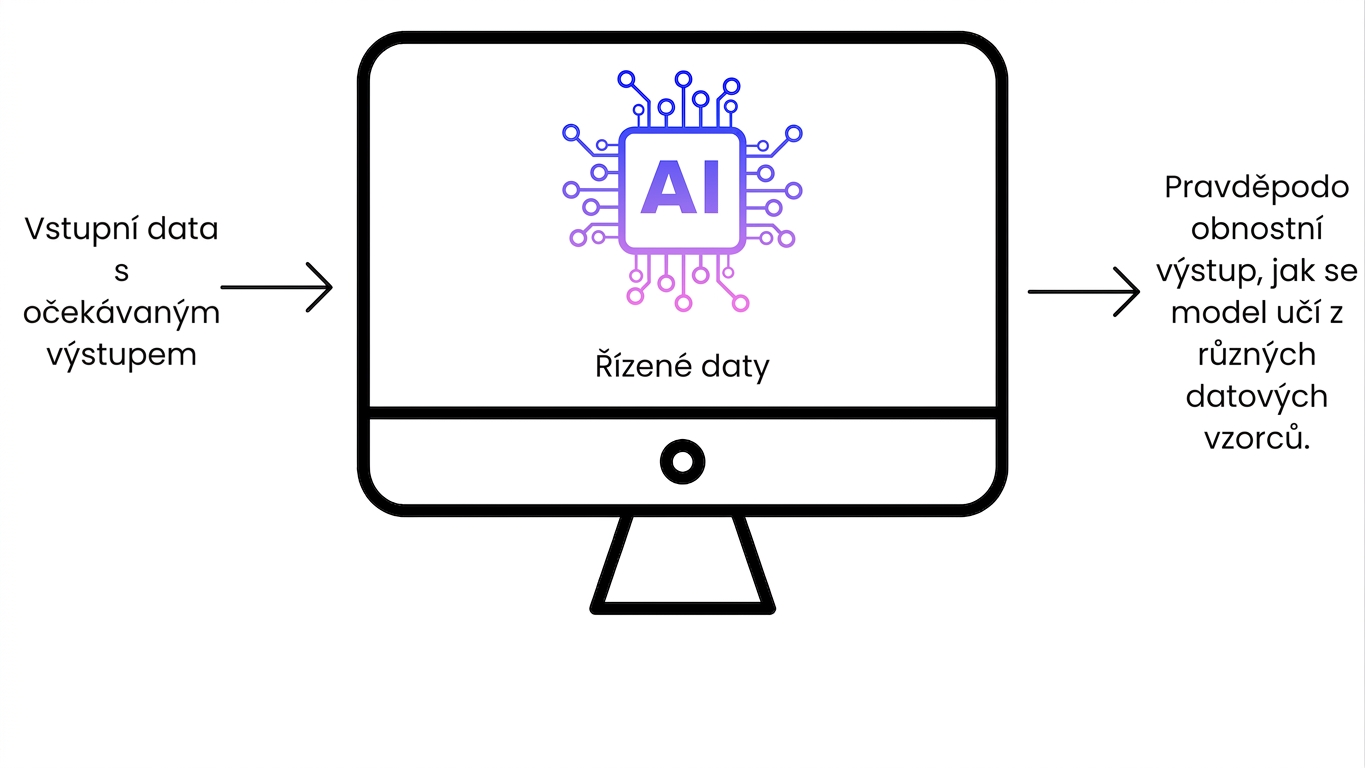 Software AI