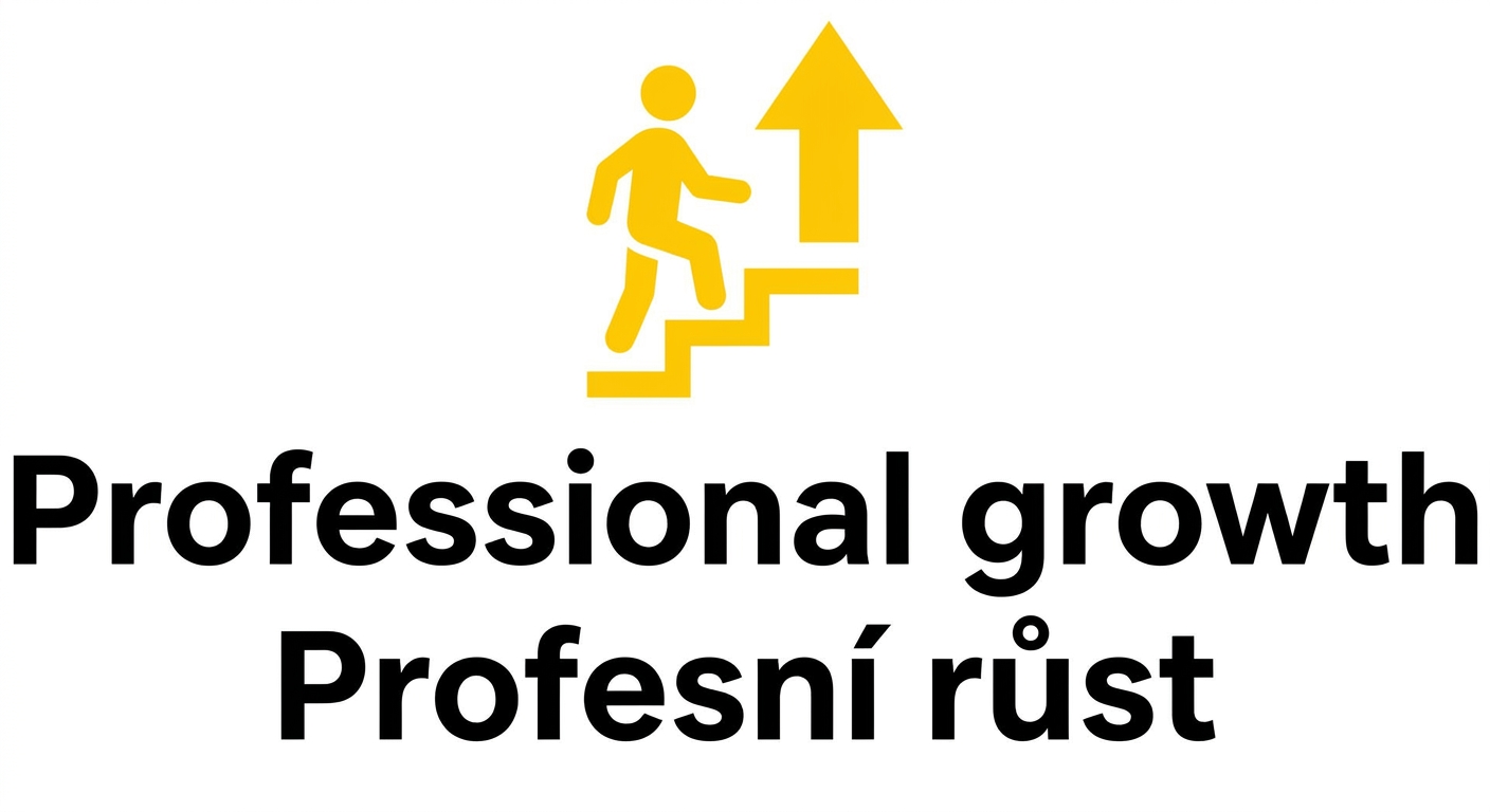 Profesní růst