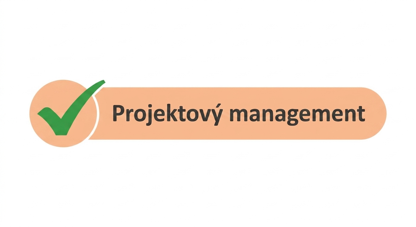 Dovednosti projektového řízení
