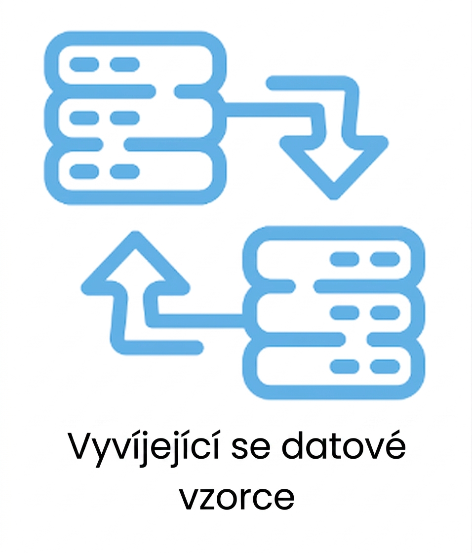 Vyvíjející se datové vzory