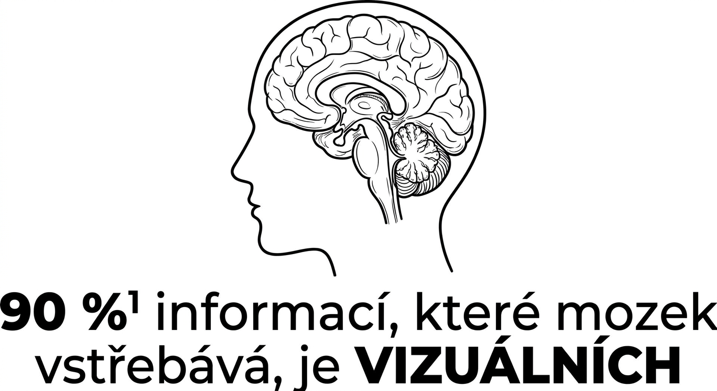 Obrázek lidského mozku