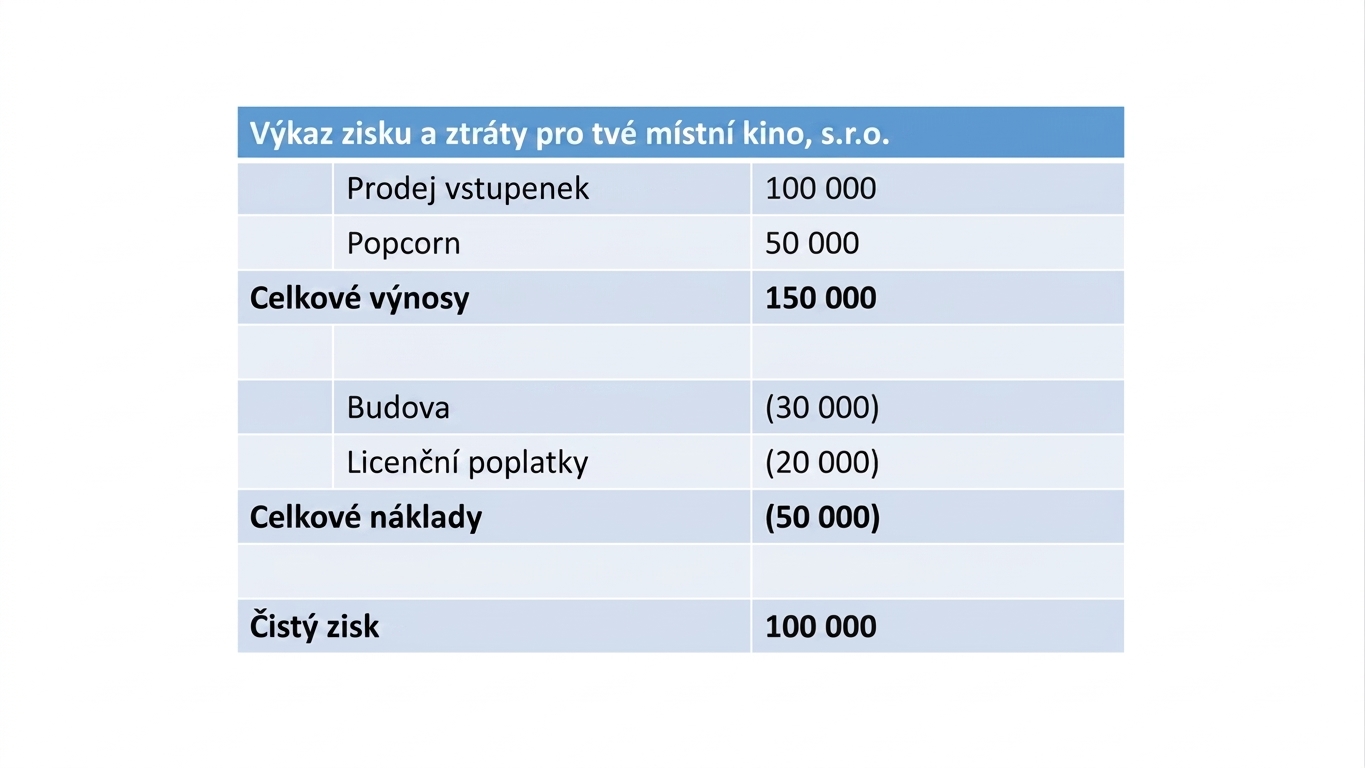 příklad výkazu zisku a ztráty
