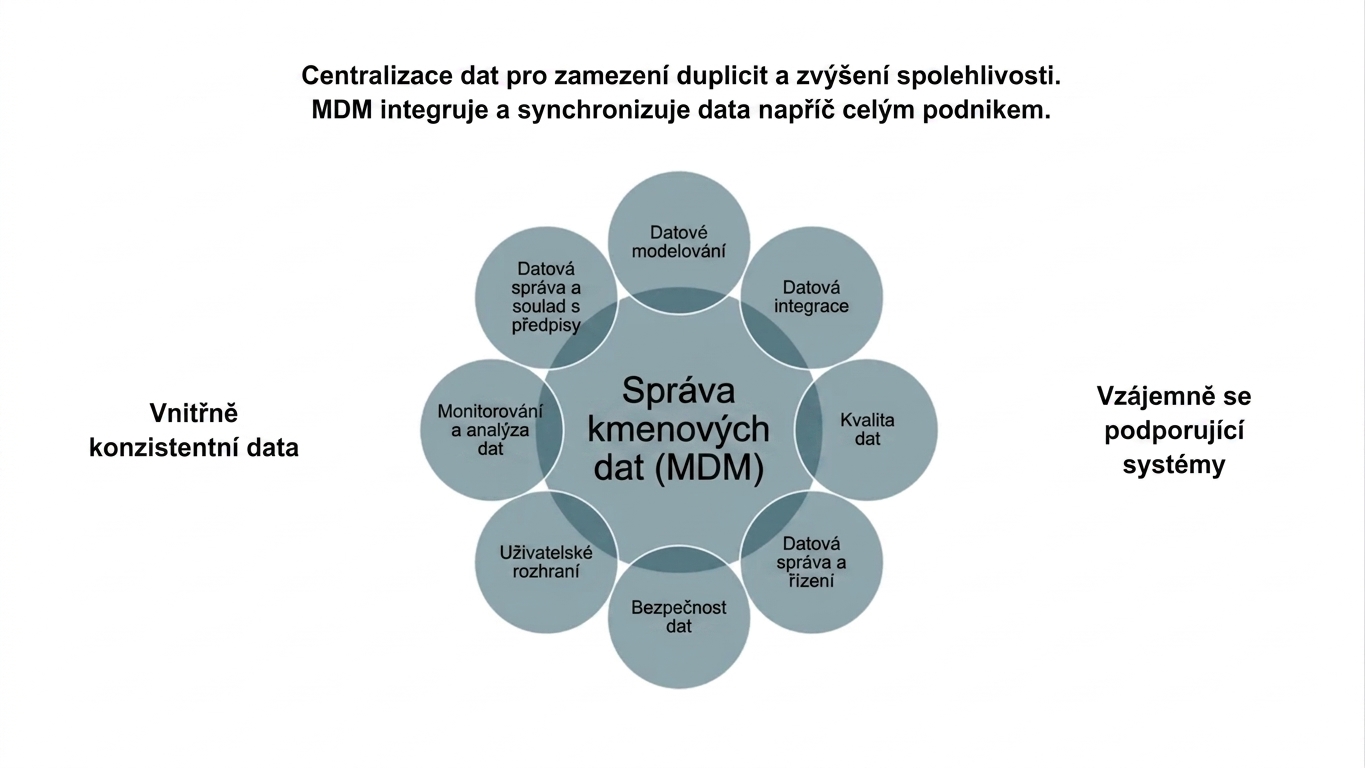 Aspekty MDM v podobě kola