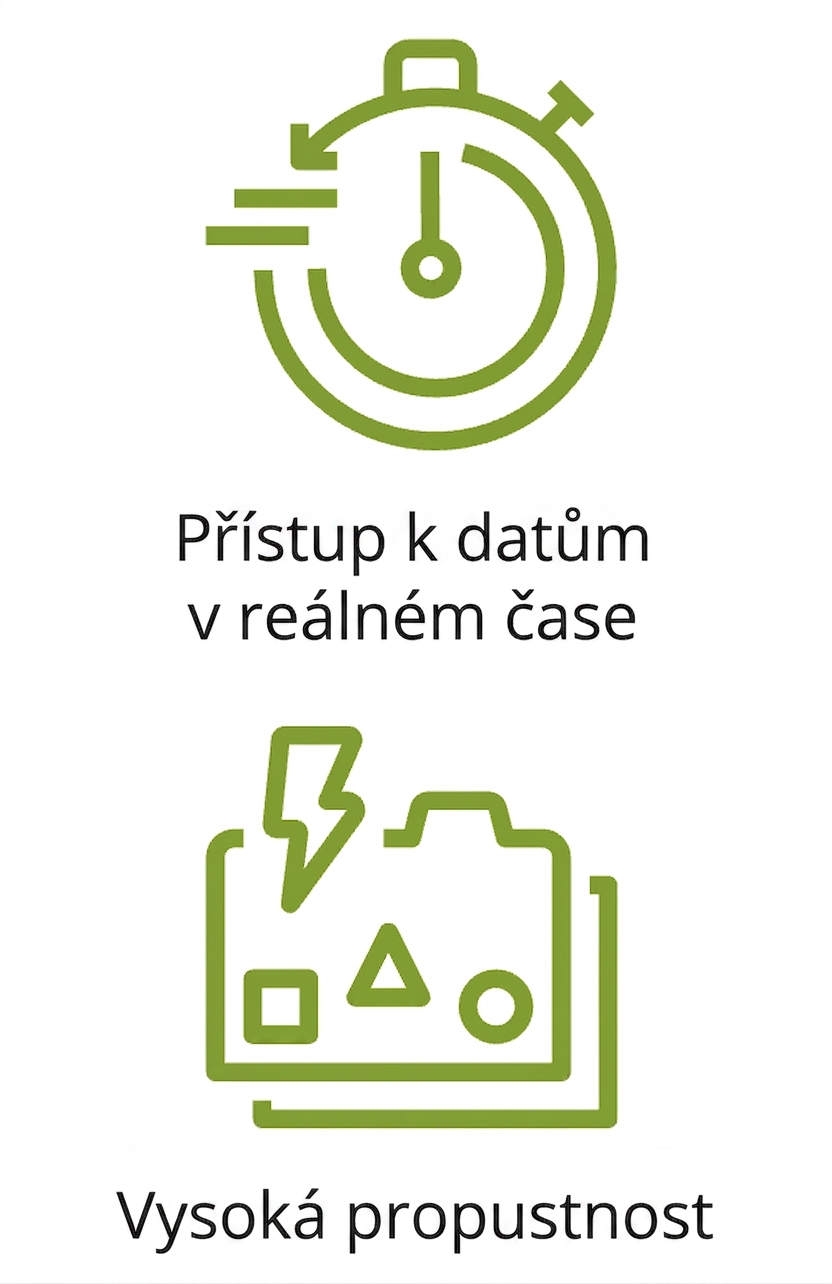 Dvě ikony znázorňující přístup k datům v reálném čase a vysokou propustnost.