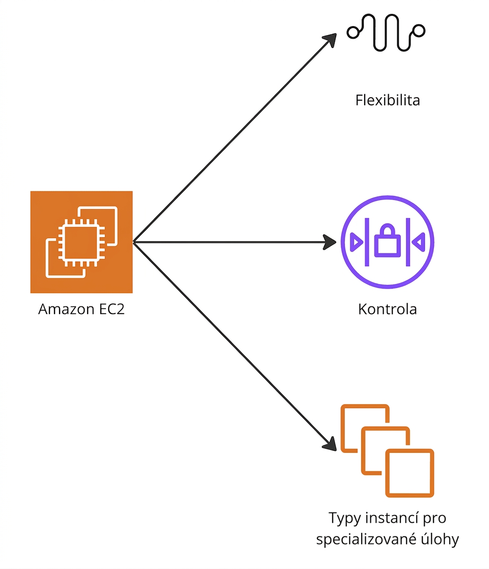 Větvený diagram zdůrazňující flexibilitu, kontrolu a speciální typy instancí v EC2.
