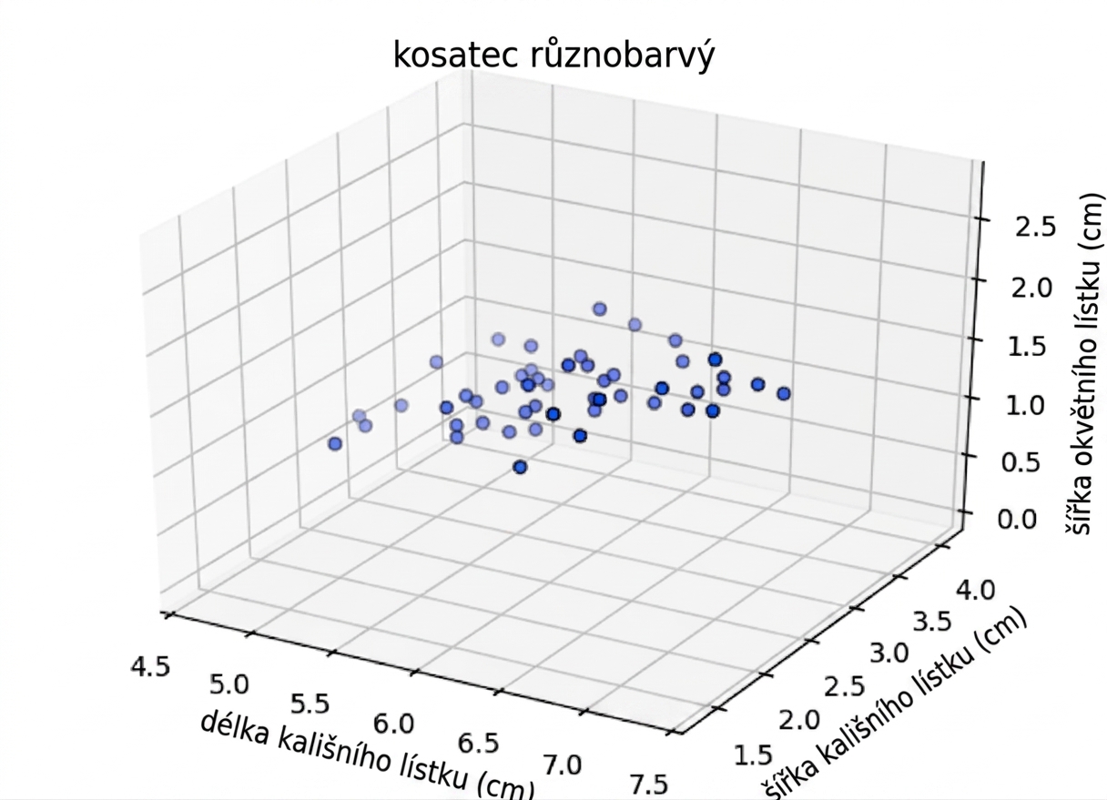 Body versicolor vykreslené ve 3D prostoru: délka kalichu vs šířka kalichu vs šířka okvětního lístku