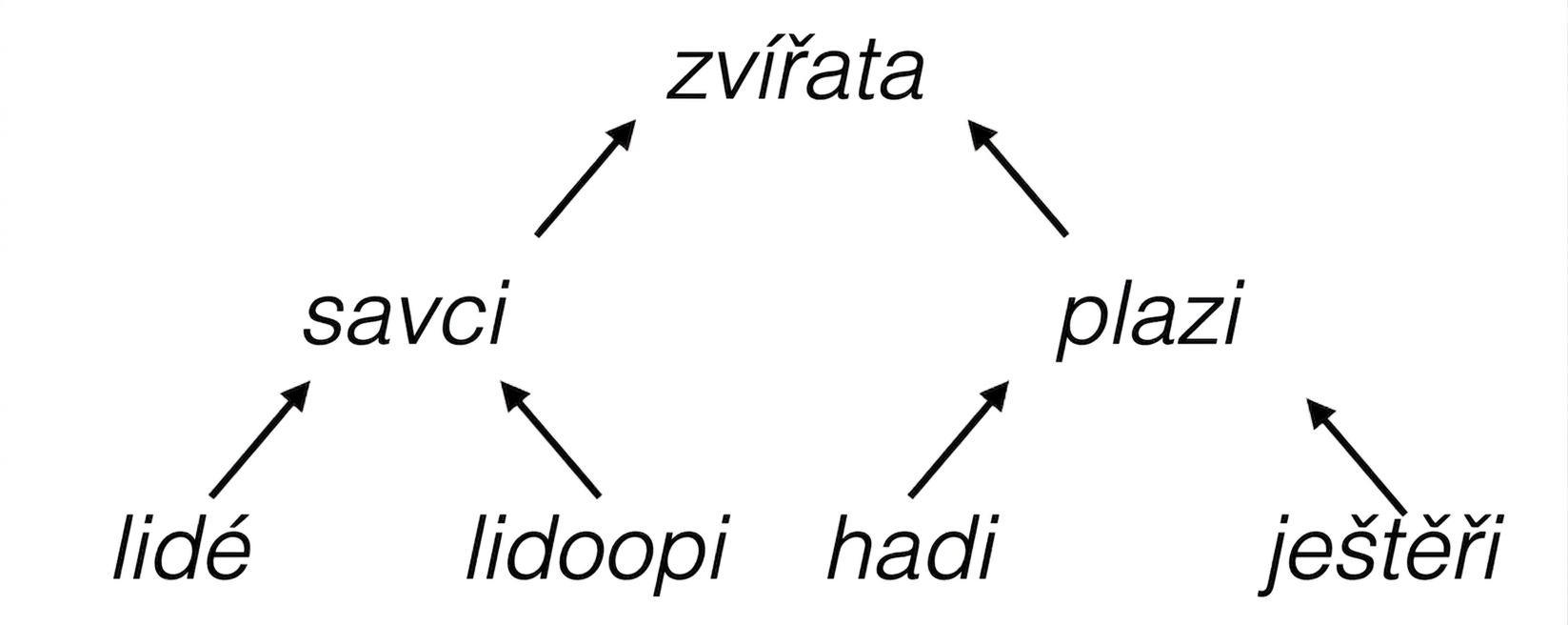 Hierarchický strom živočichů