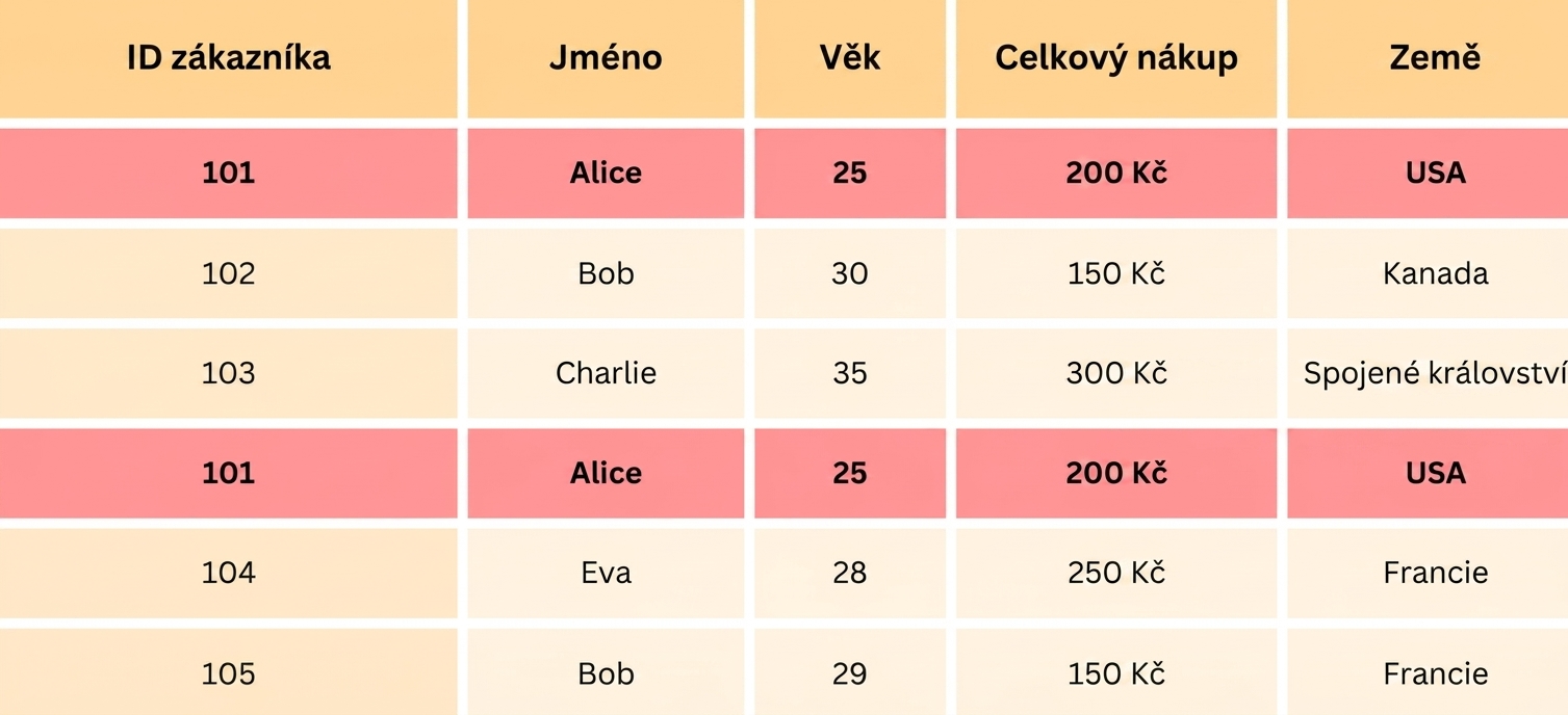 Zvýrazněné duplicitní řádky v ukázkových datech.png