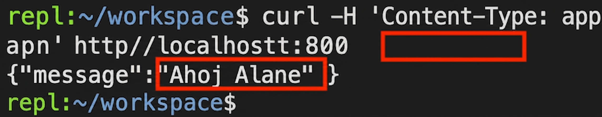 Terminál s příkazem curl bez jména. Odpověď: "Hello Alan."