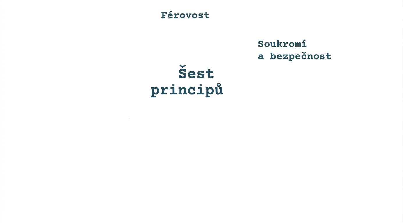 Text „šest principů“ obklopený pojmy označujícími tyto principy: spravedlnost, soukromí a bezpečnost